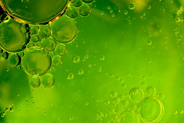 Redumodel-classic-inci